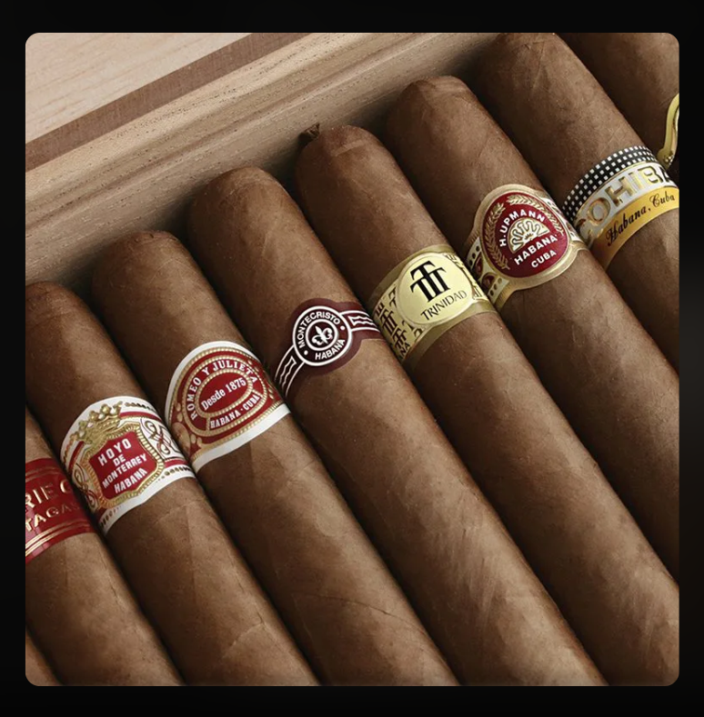 How to Store Cigars: Humidor Guide & Best Practices