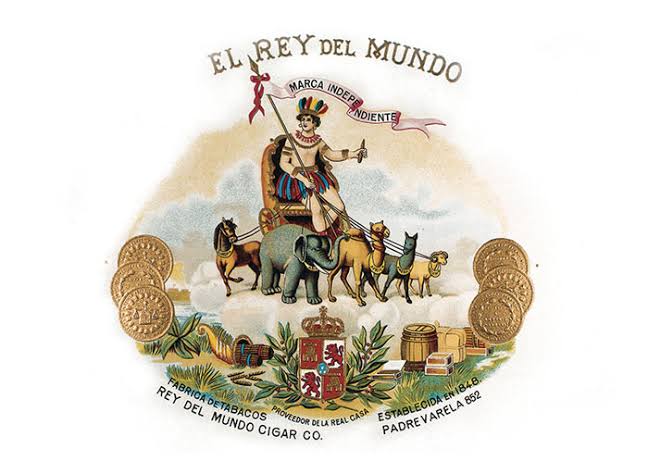 REY DEL MUNDO COLLECTION