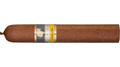 Cohiba Ambar