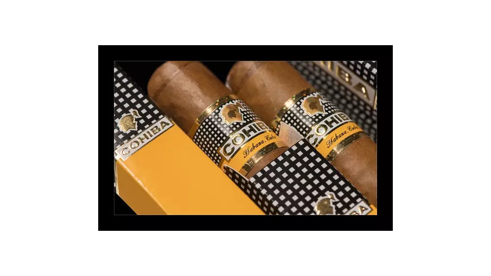 Cohiba Robustos 3 Pack
