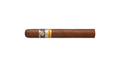 Cohiba Siglo IV