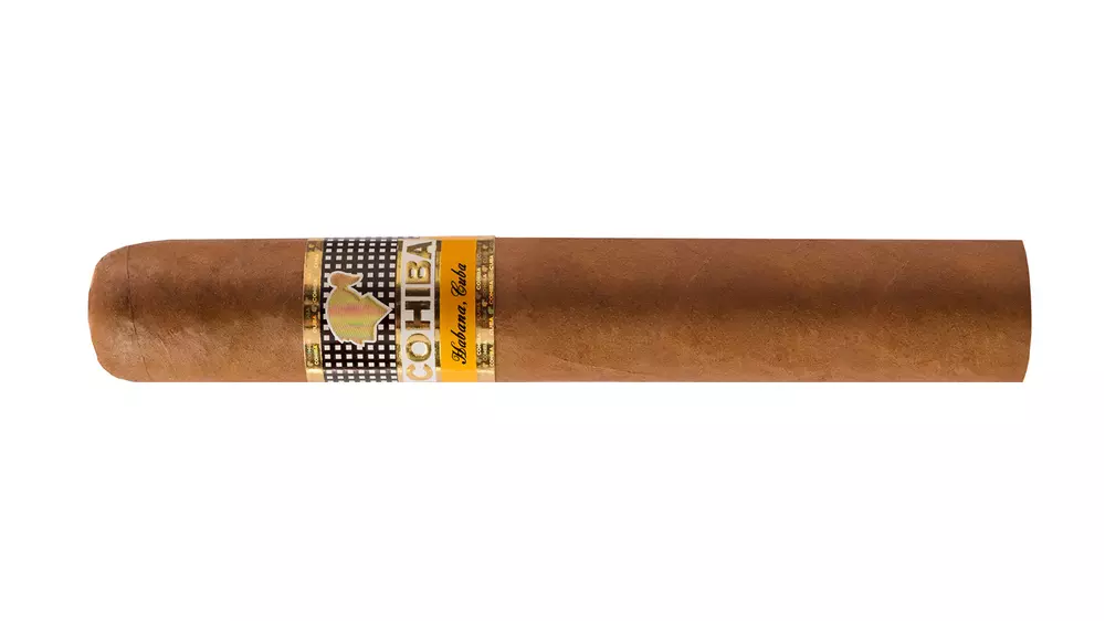 Cohiba Robustos